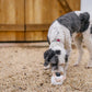 Barnyard Buddies Toys