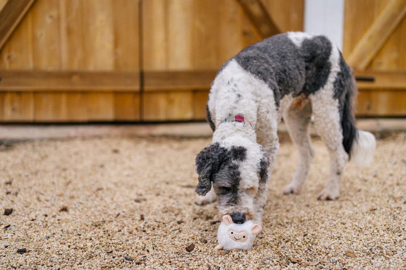 Barnyard Buddies Toys