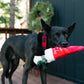 Merry Woofmas Toys