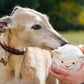 Barnyard Buddies Toys