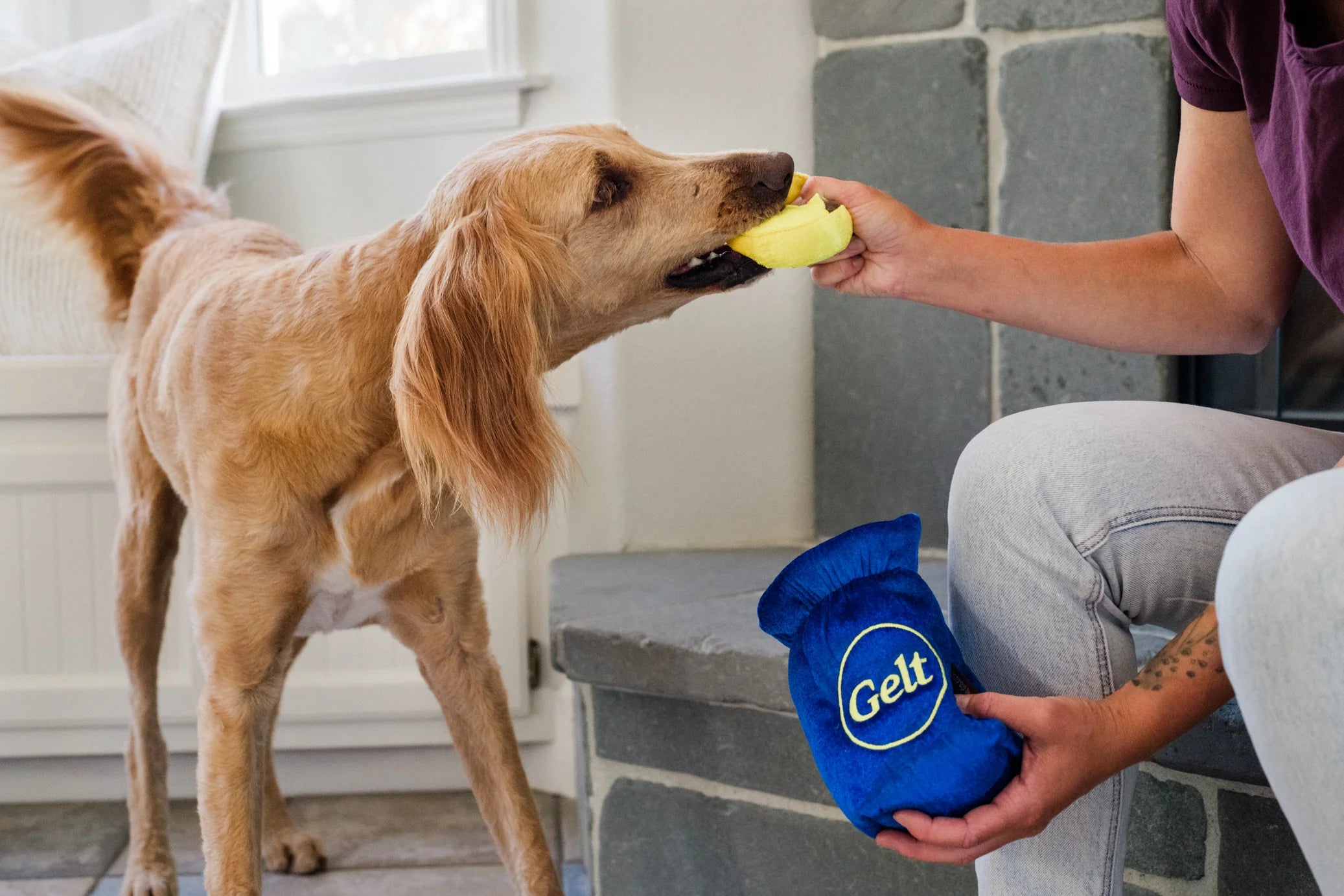 Paw-nukkah Toys