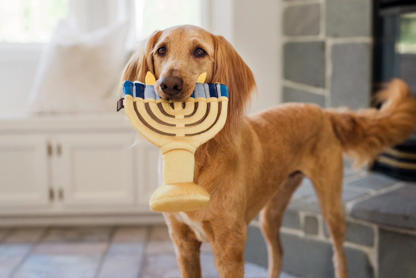 Paw-nukkah Toys