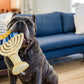 Paw-nukkah Toys