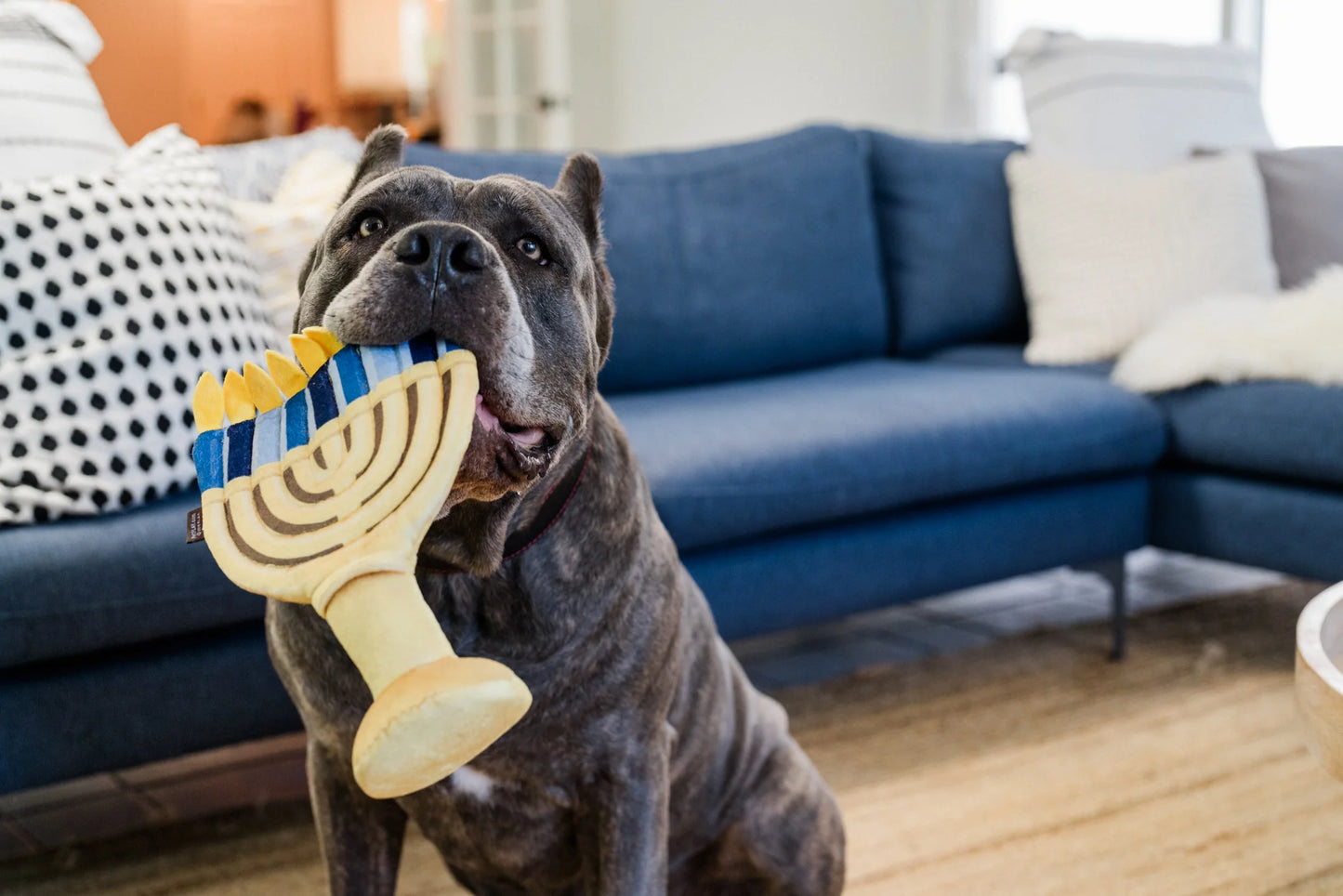 Paw-nukkah Toys