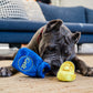 Paw-nukkah Toys