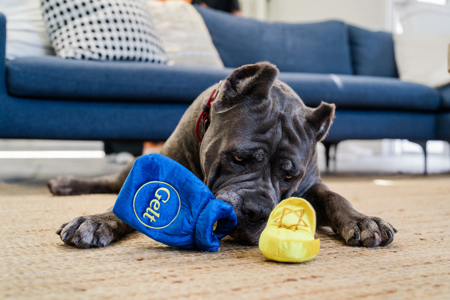 Paw-nukkah Toys