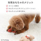 Pet Paradise Gift Toy - Sniffing Toy
