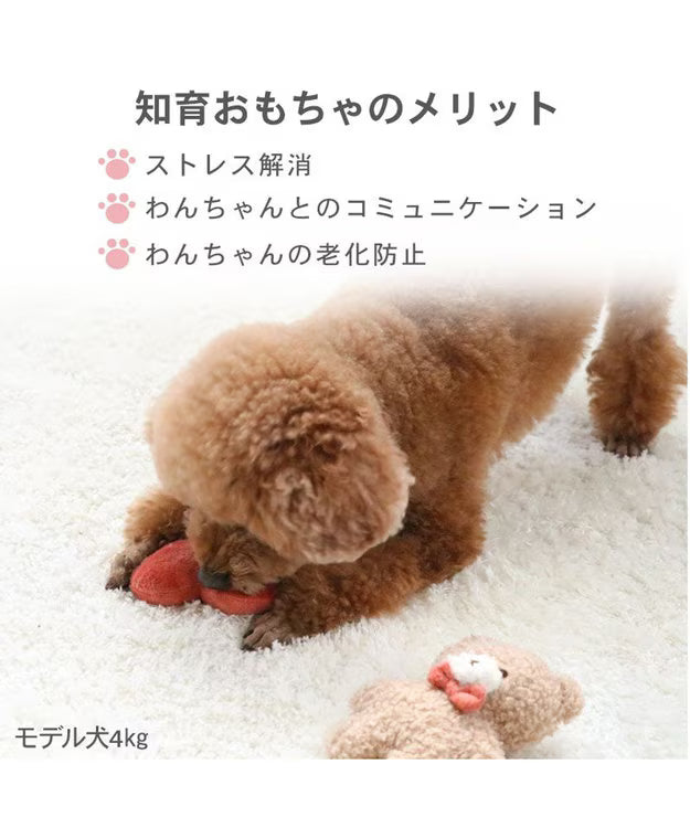 Pet Paradise Gift Toy - Sniffing Toy