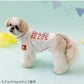 Authentic Snoopy Skateboard T-Shirt