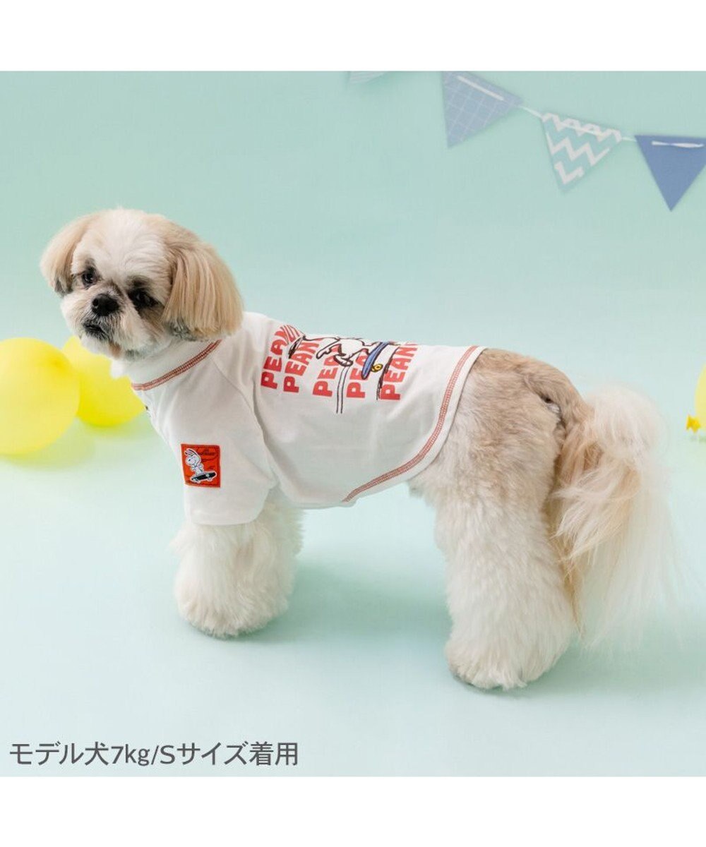 Authentic Snoopy Skateboard T-Shirt