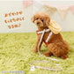 Authentic Disney Winnie the Pooh Harness and Leash