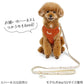 Authentic Disney Winnie the Pooh Harness and Leash