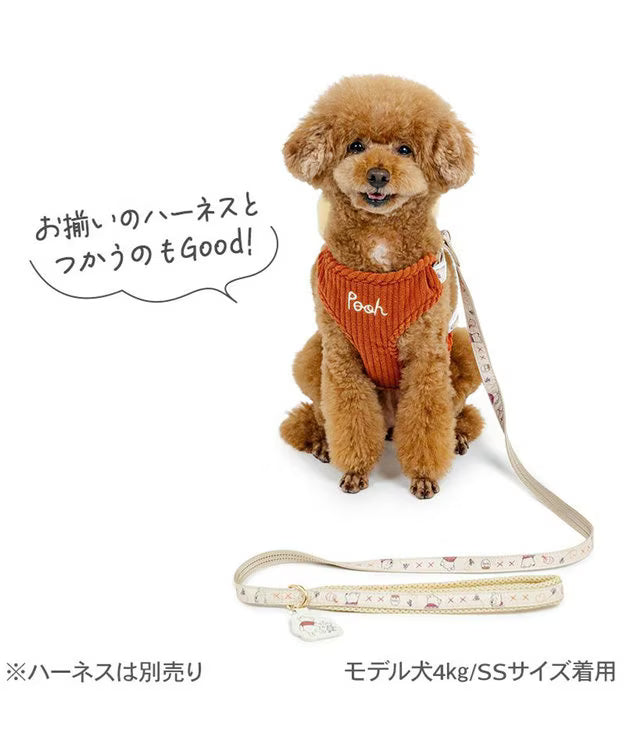 Authentic Disney Winnie the Pooh Harness and Leash