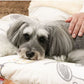 Snoopy Far Infrared Relaxation Mat (Brothers Design)