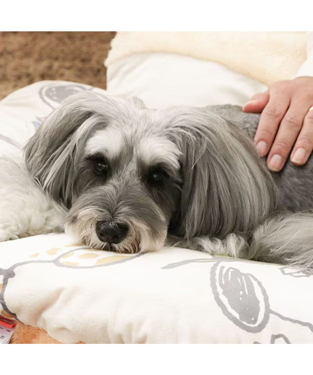 Snoopy Far Infrared Relaxation Mat (Brothers Design)