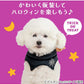 Pet Paradise Bat Choker