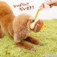 Authentic Disney Winnie the Pooh Honey Pot Rope Toy