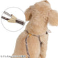 Authentic Lisa and Gaspard Harness & Leash Set Cocoa
