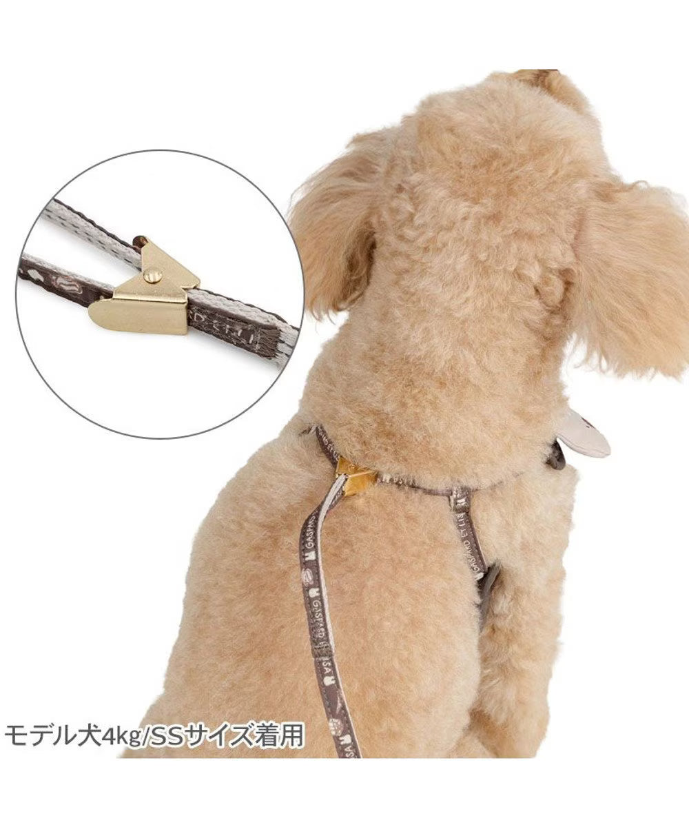 Authentic Lisa and Gaspard Harness & Leash Set Cocoa