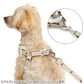 Authentic Lisa and Gaspard Dog Harness & Leash Set