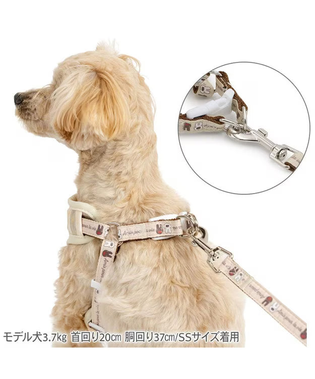 Authentic Lisa and Gaspard Dog Harness & Leash Set