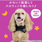 Pet Paradise Bat Choker