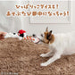 Authentic Snoopy Nice Catch Toy | Makes Sounds | Japan Import