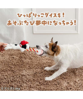 Authentic Snoopy Nice Catch Toy | Makes Sounds | Japan Import