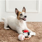 Authentic Snoopy Nice Catch Toy | Makes Sounds | Japan Import