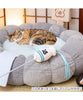 Pet Paradise, Delicious Japanese Sake, Cat Toy Cat Teaser