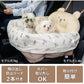 Pet Paradise Bear Canvas-chan Quilted Dog Drive Carrier | Japan Import