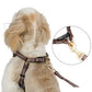 Authentic Snoopy Harness & Leash
