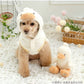 Pet Paradise White Duck Hoodie