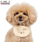 Authentic Disney Winnie the Pooh Dog Harness with Bib, Collar, Leash