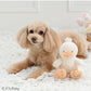 Pet Paradise White Duck Toy