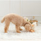 Pet Paradise White Duck Toy