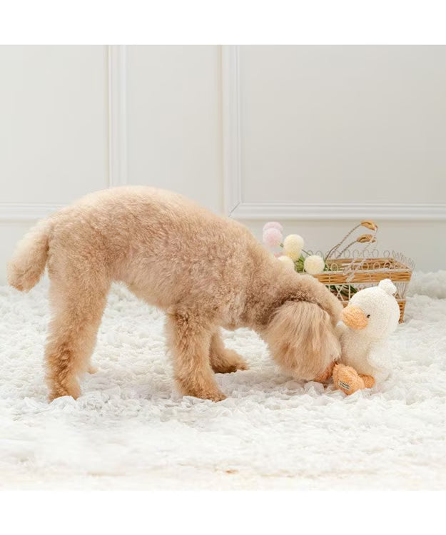 Pet Paradise White Duck Toy