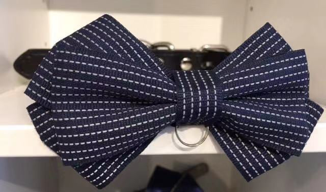Business Casual Bowtie