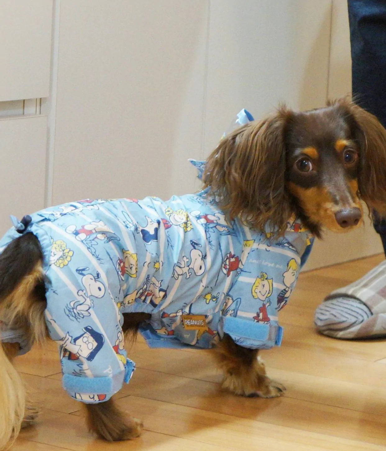 Snoopy Raincoat with 4 legs M-L