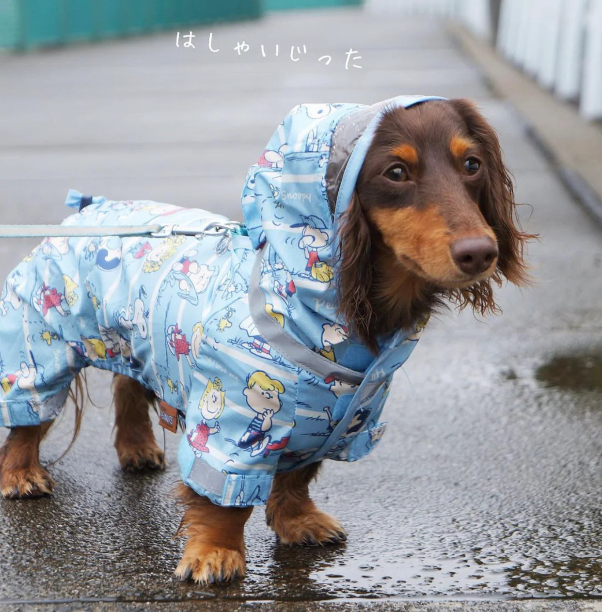 Snoopy Raincoat with 4 legs M-L