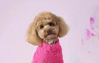 Pullover Pet Jumper Online Only