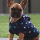 Pet Jumper with Coloured Hearts Online Only