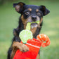 Barking Brunch Toys