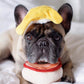 Barking Brunch Toys