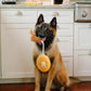 Barking Brunch Toys