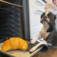 Barking Brunch Toys