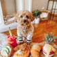 Barking Brunch Toys