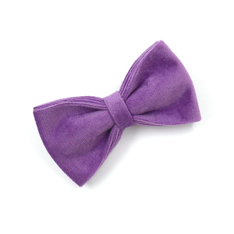 Purple Velour Collar Leash Bowtie