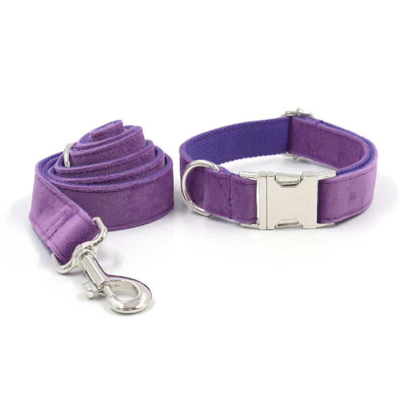 Purple Velour Collar Leash Bowtie