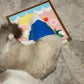 Cat Sniffing Mat - 3 Pieces Toy